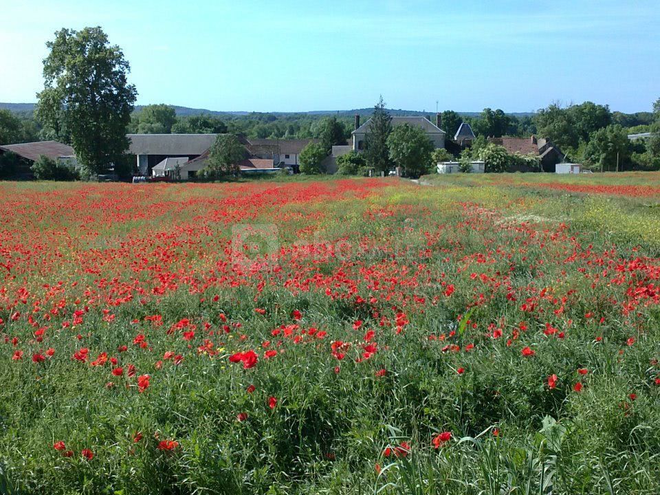 LA FERME DU SOLEIL