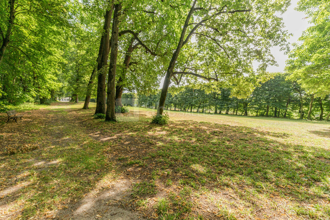 Jardin du cèdre
