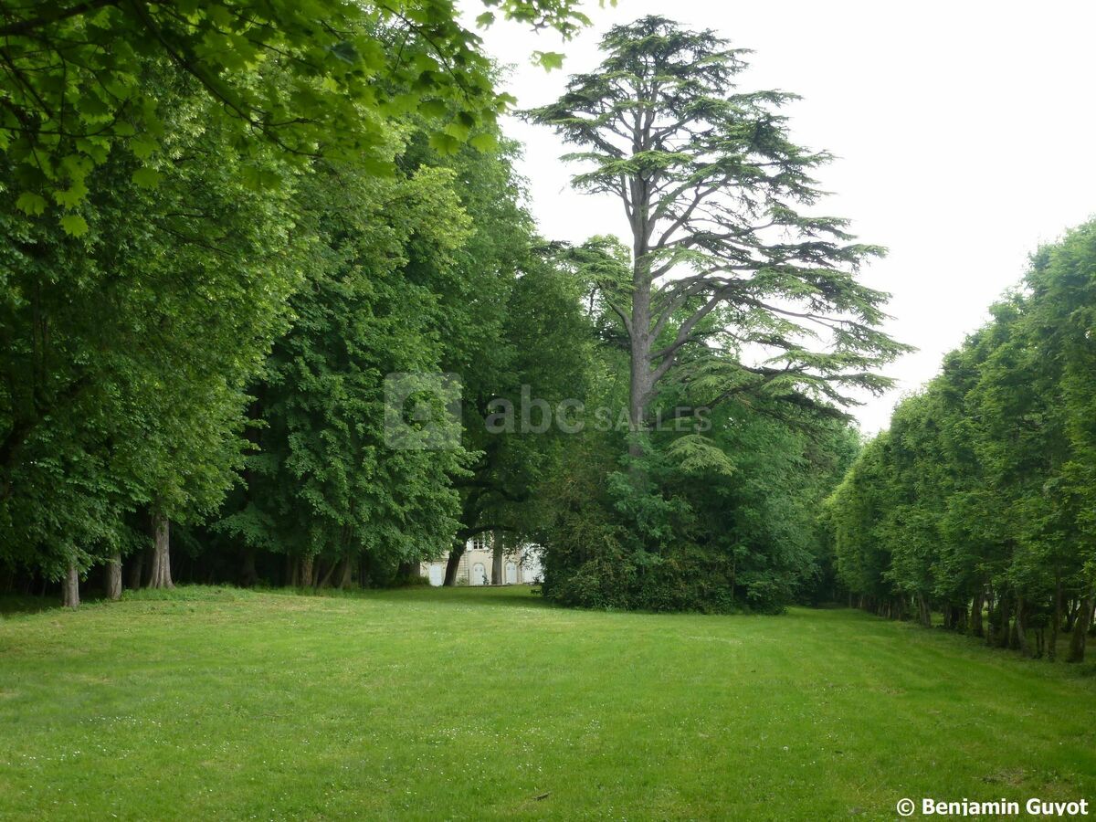 Jardin du cèdre