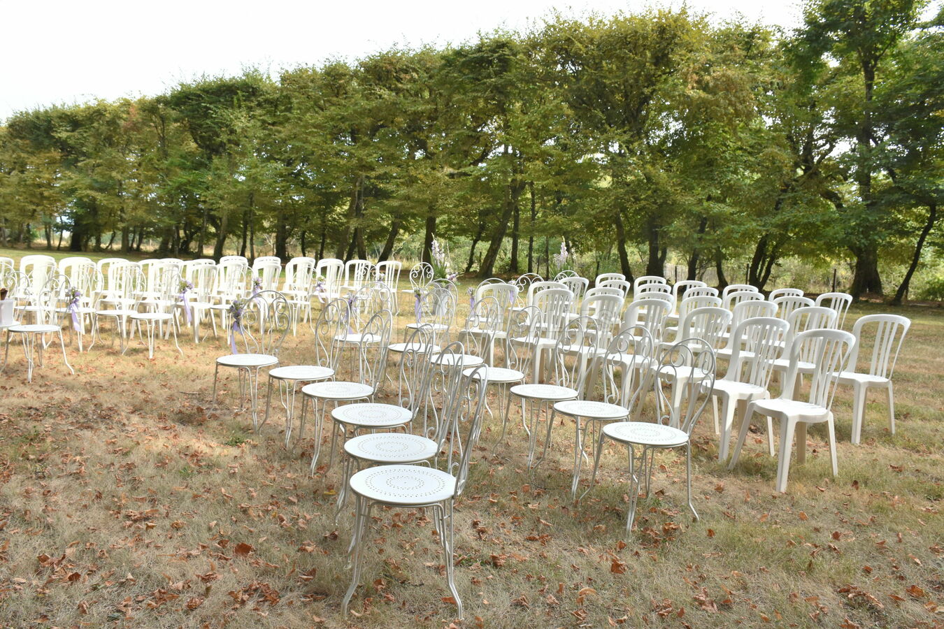 Cérémonie laïque, jardin du cèdre