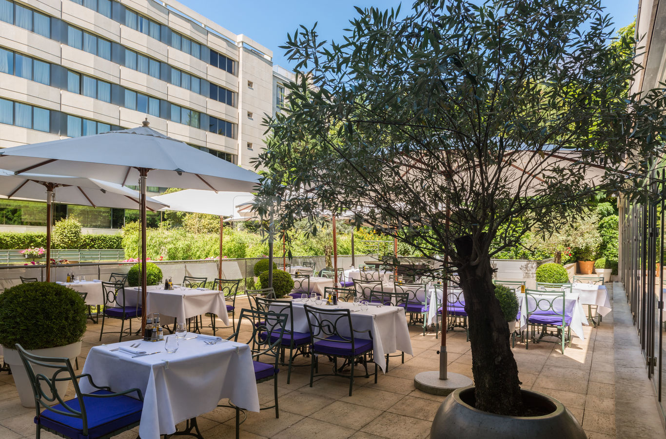 Notre terrasse d'été