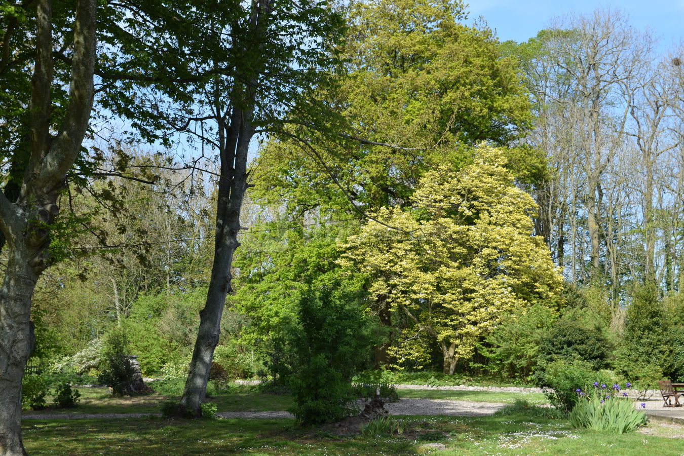 Parc