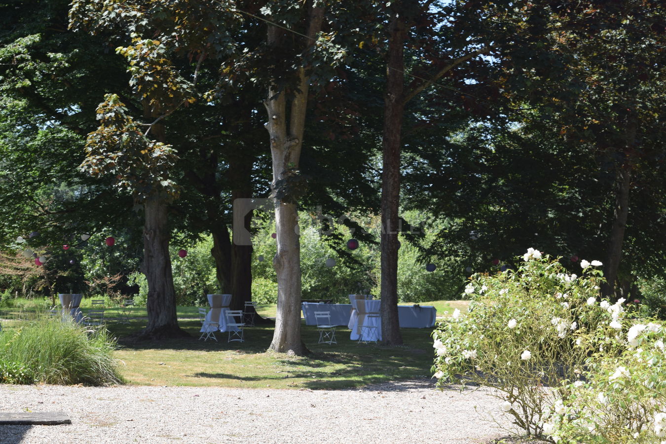 Jardin