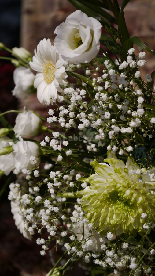 Fleurs