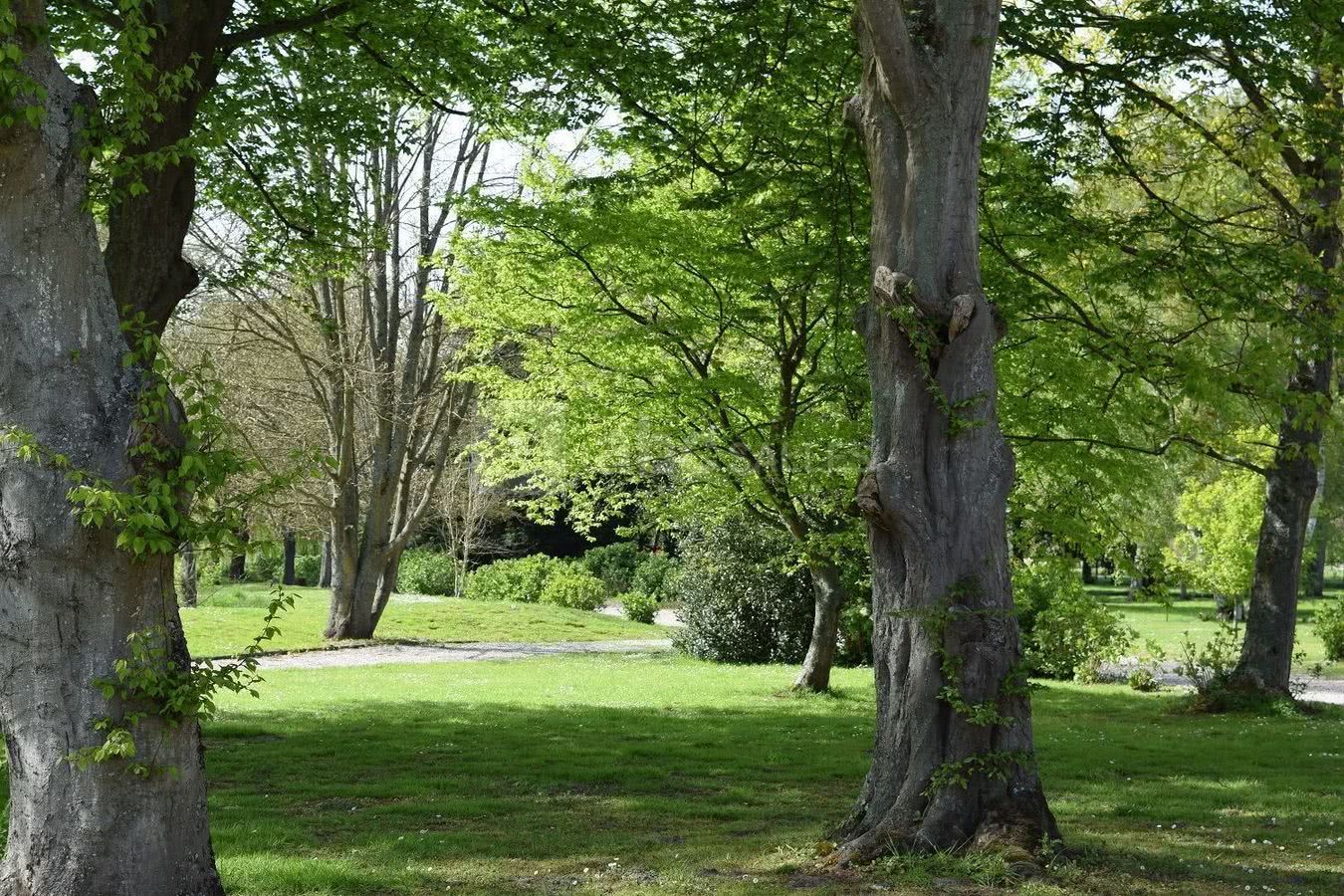 Parc