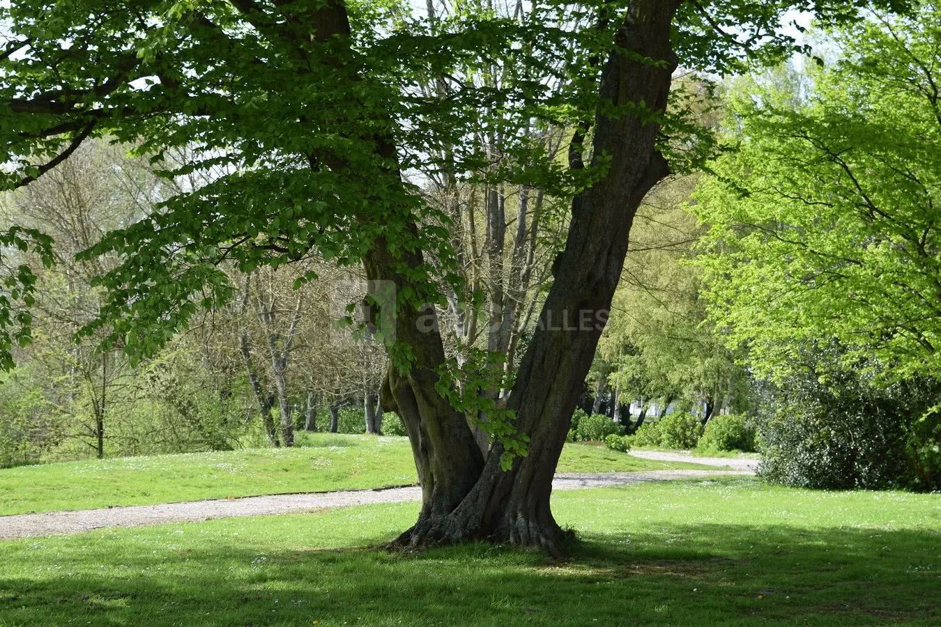 Parc