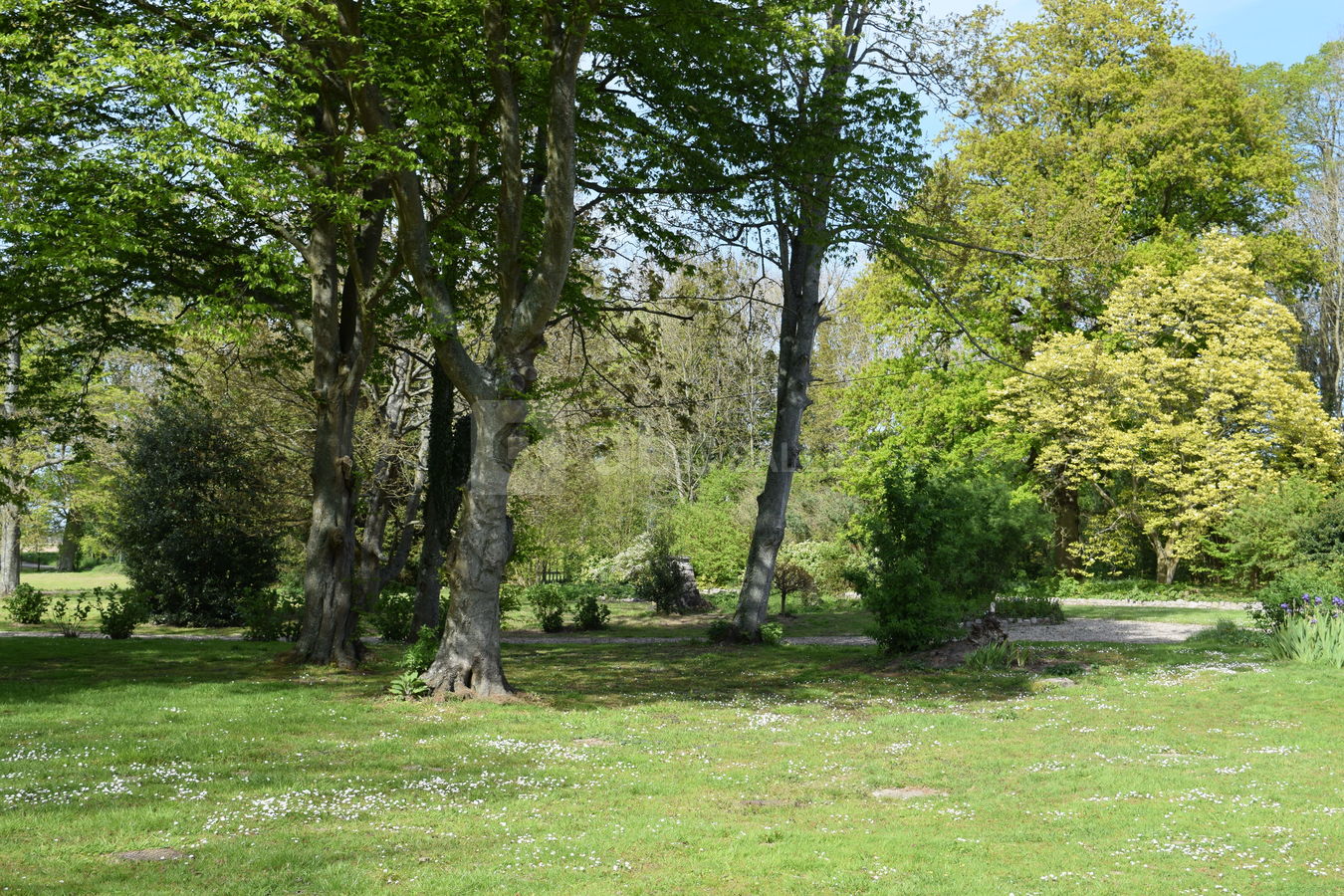 Parc
