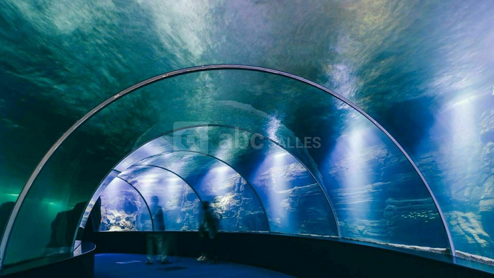 Le Tunnel de la haute mer
