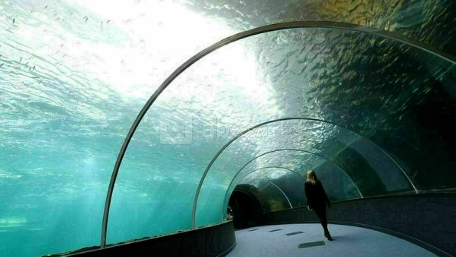 Le tunnel de la haute mer