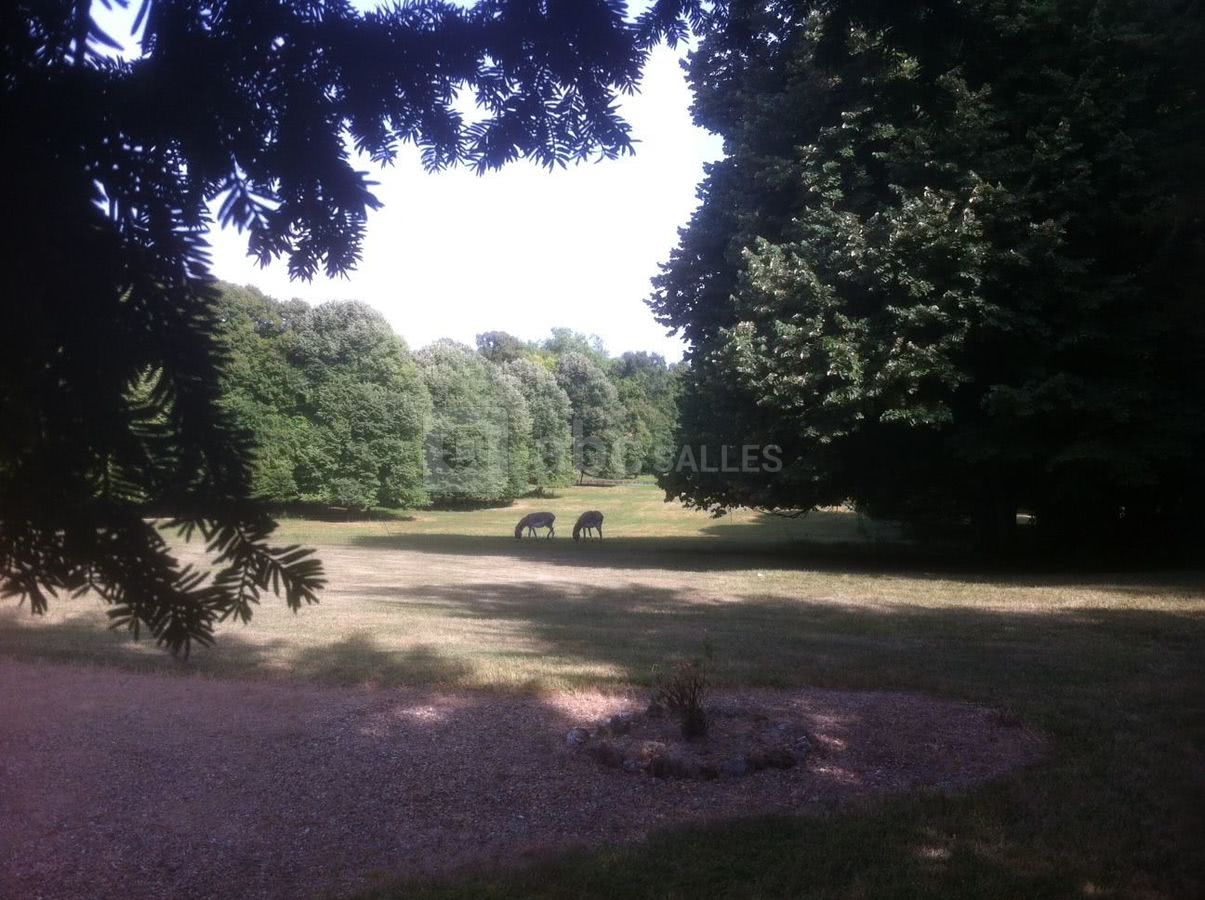 Le Parc du château