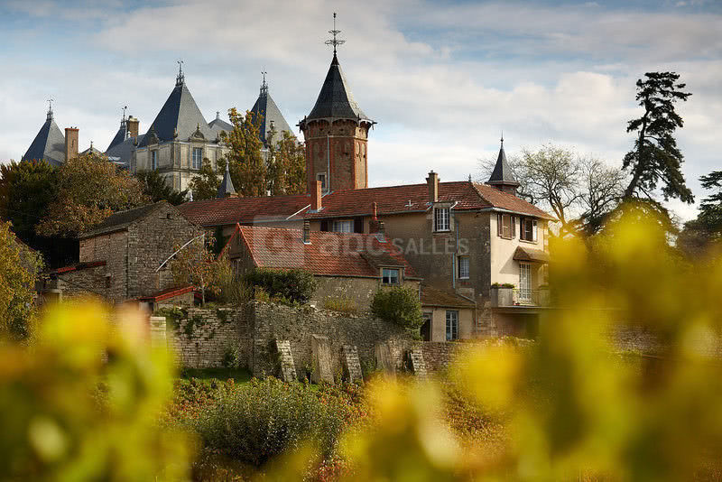 Le chateau