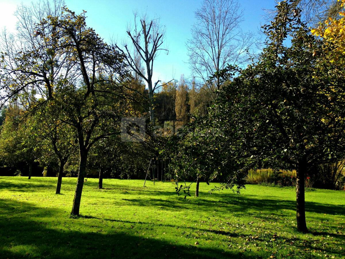 Le jardin
