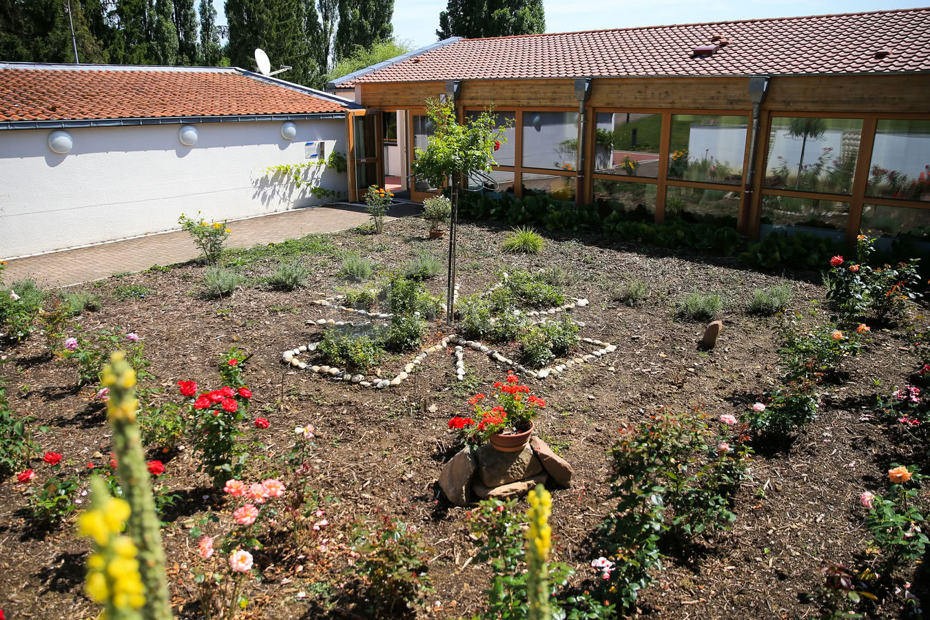 Jardin patio