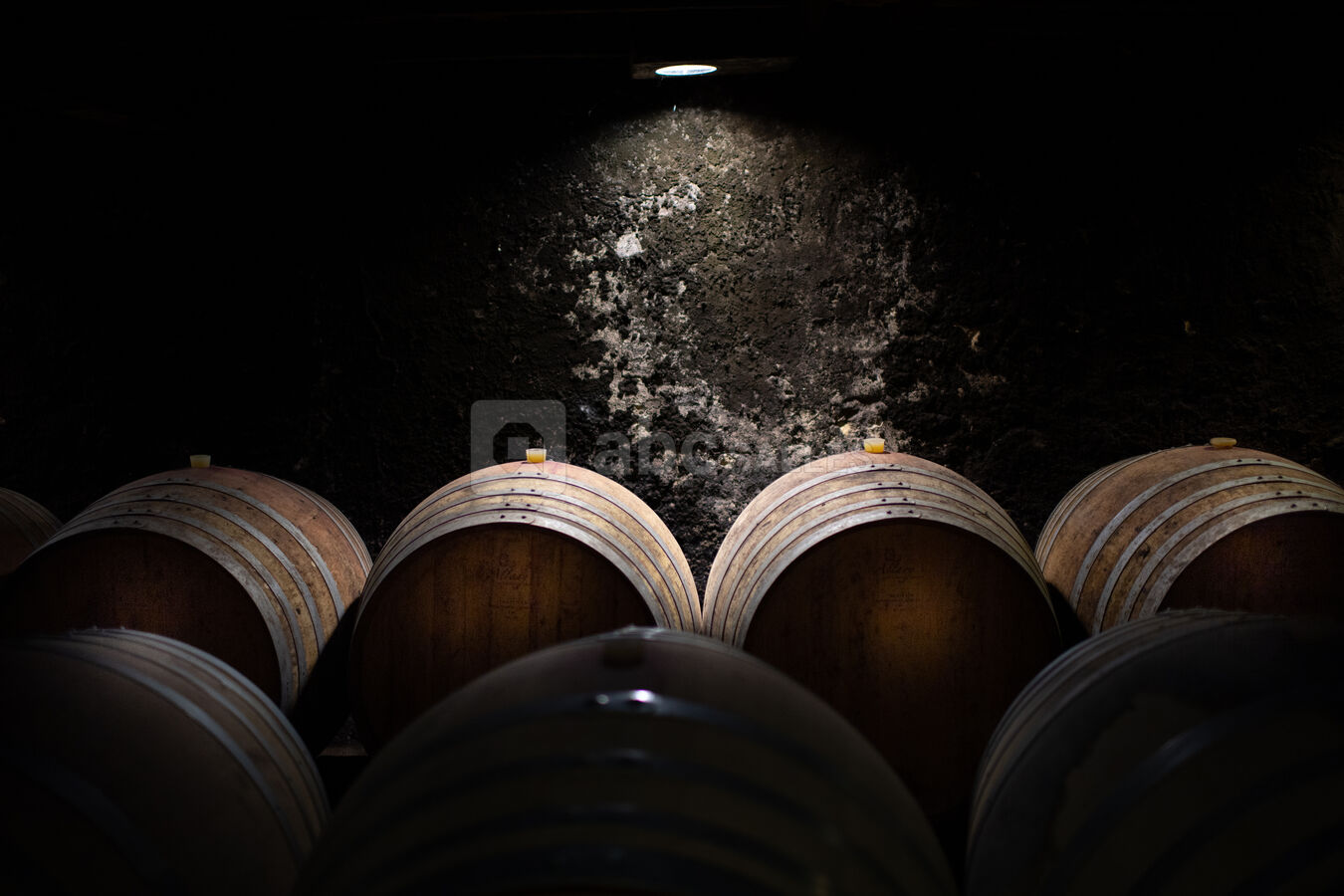 Chai à barriques - atelier - Domaine de la Grave