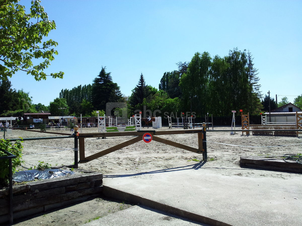 Air de travail des chevaux