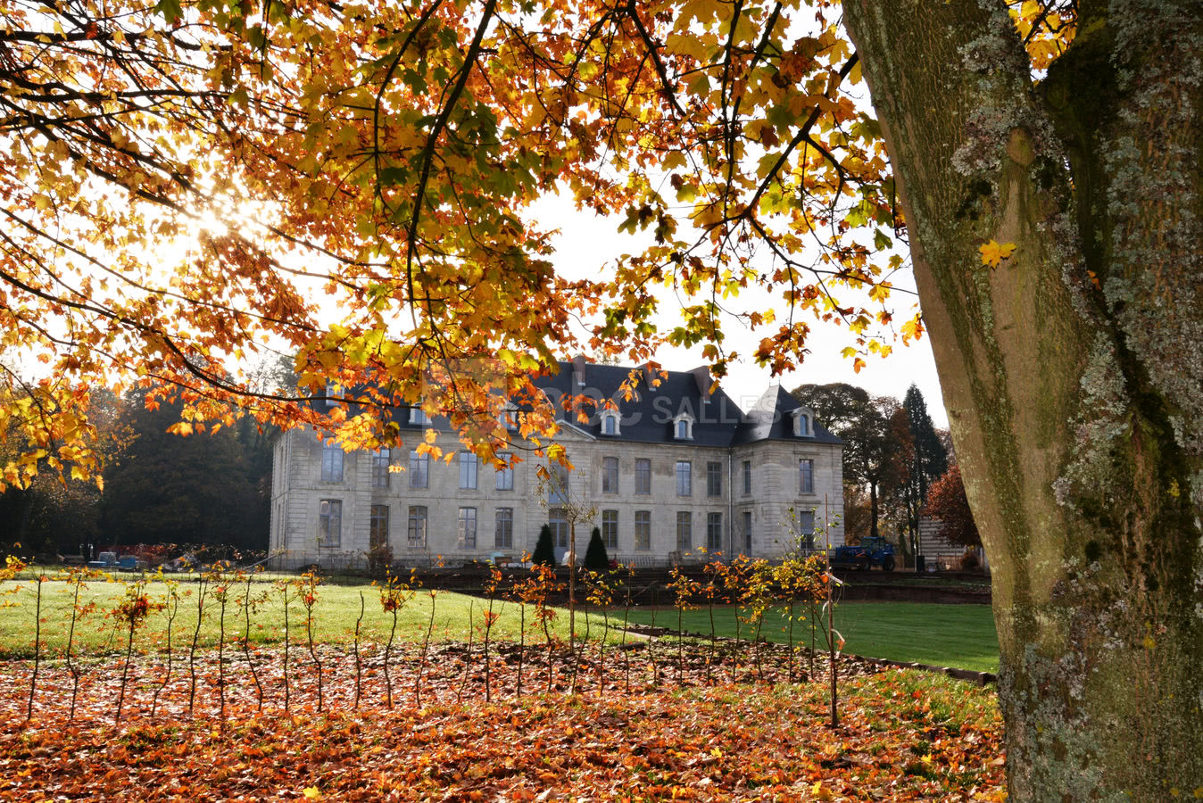 Château de Couturelle