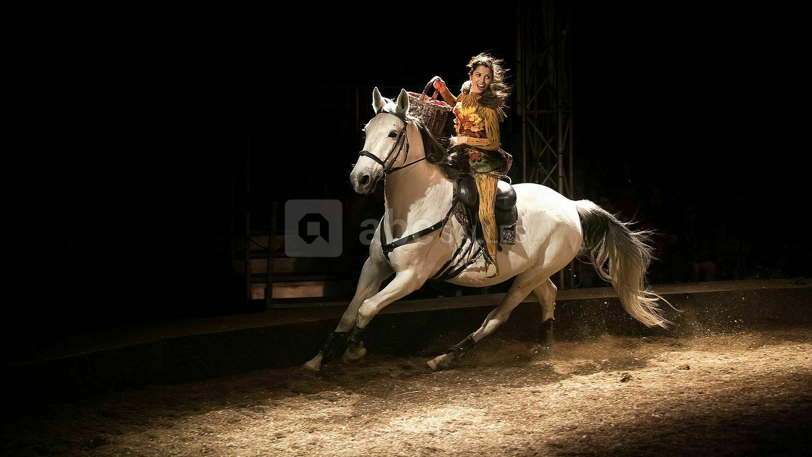 Spectacle sous chapiteau