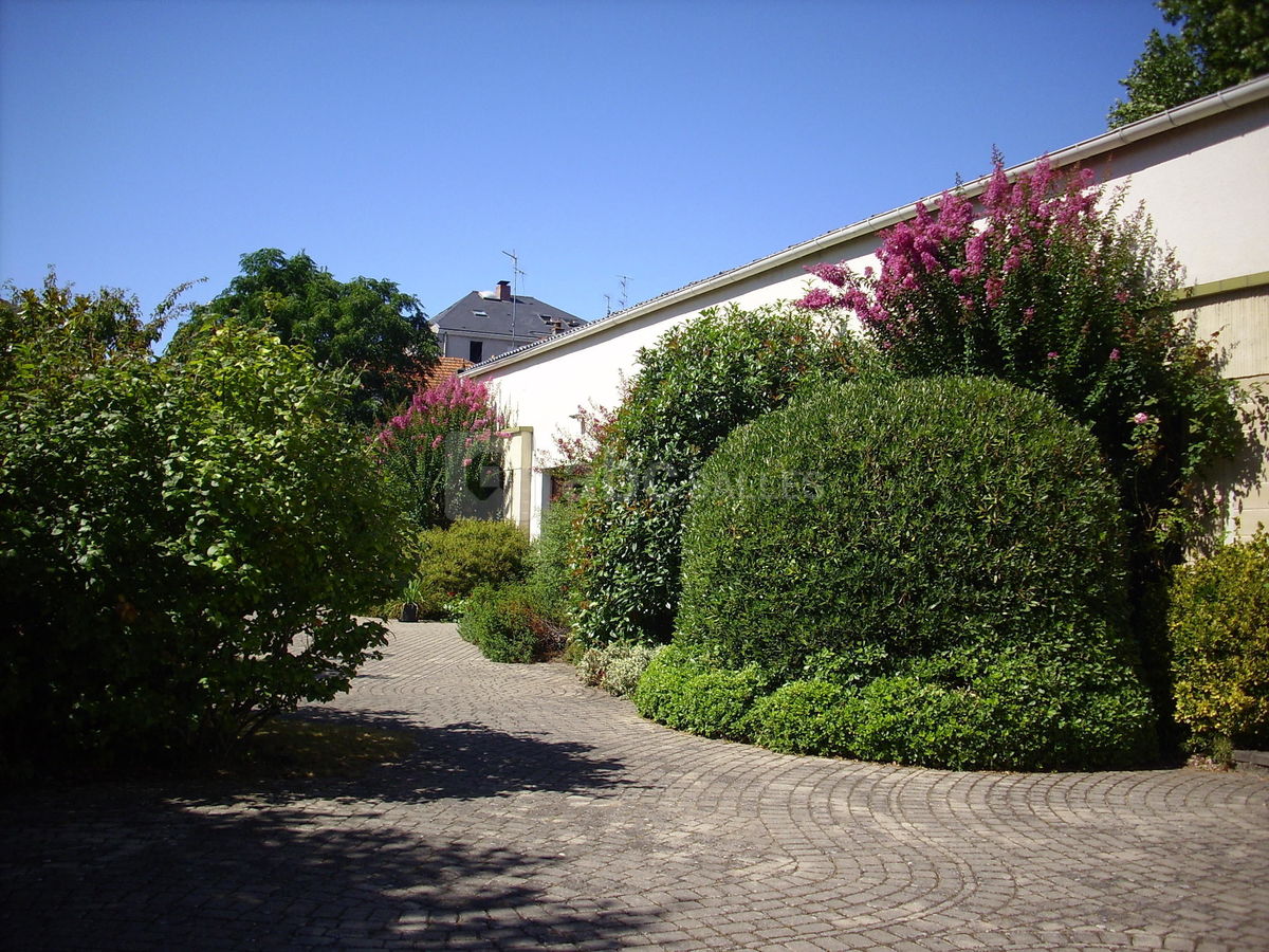 Jardin