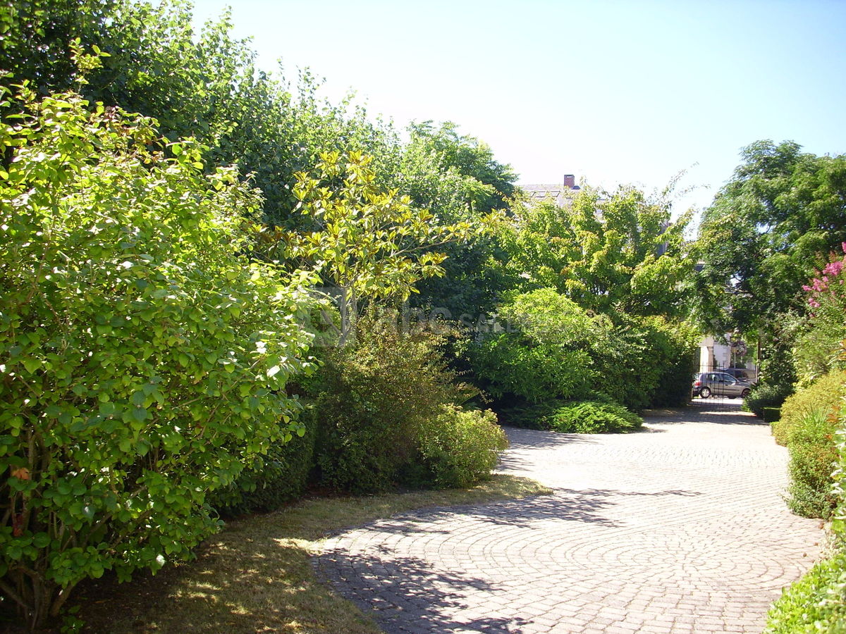 Jardin