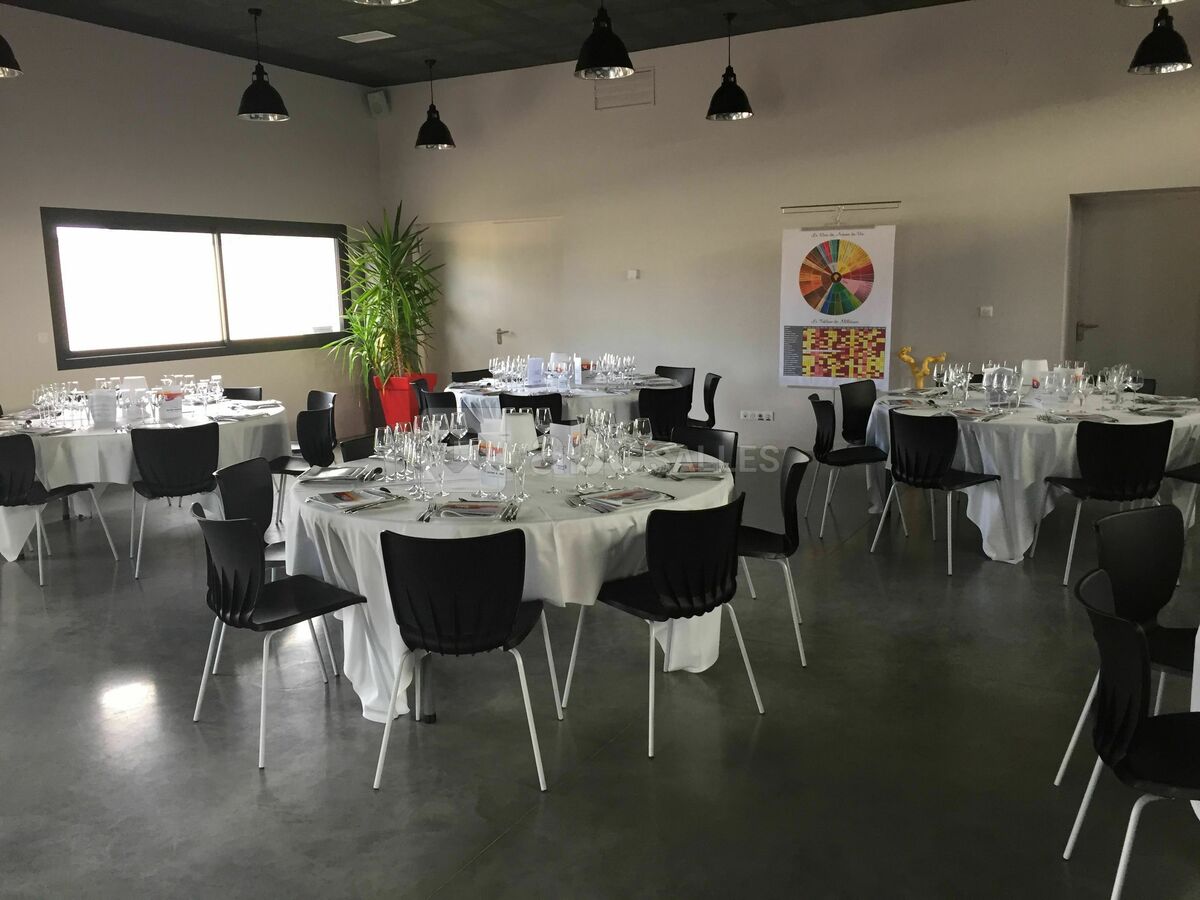 Dégustation de vins