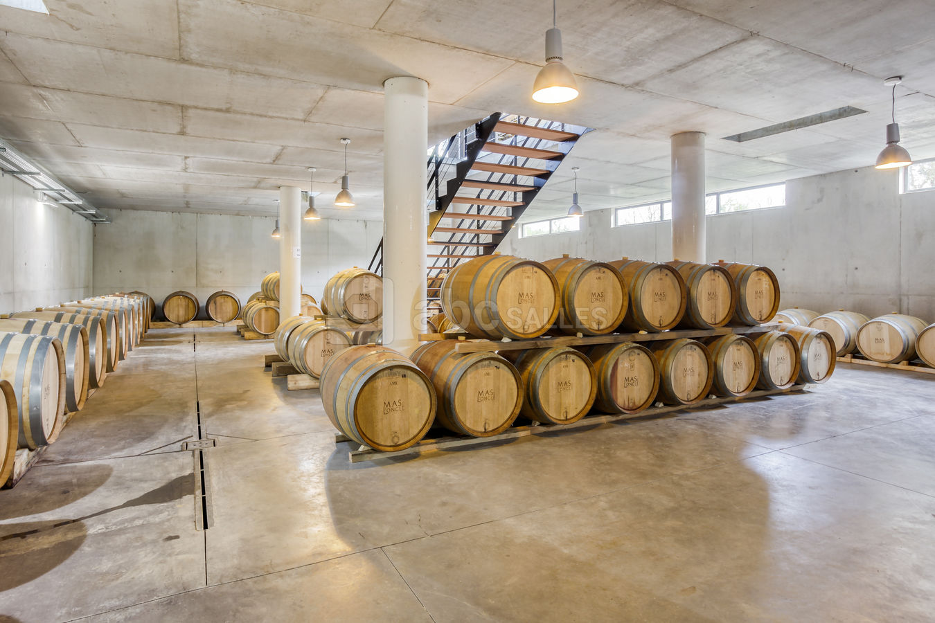 Le chai à barriques