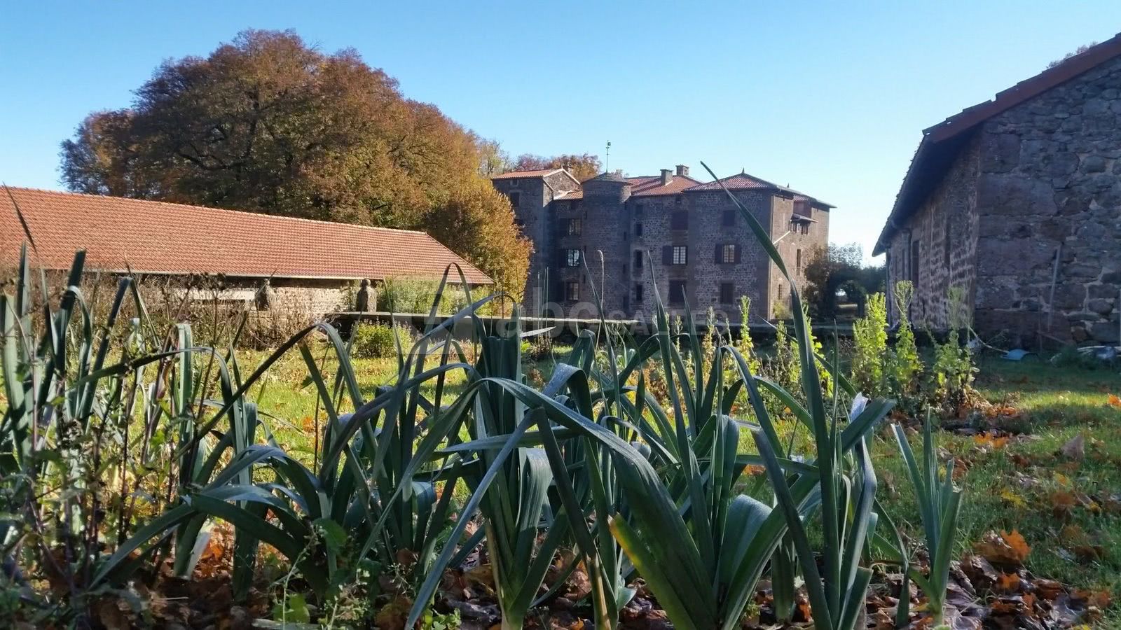 Le potager