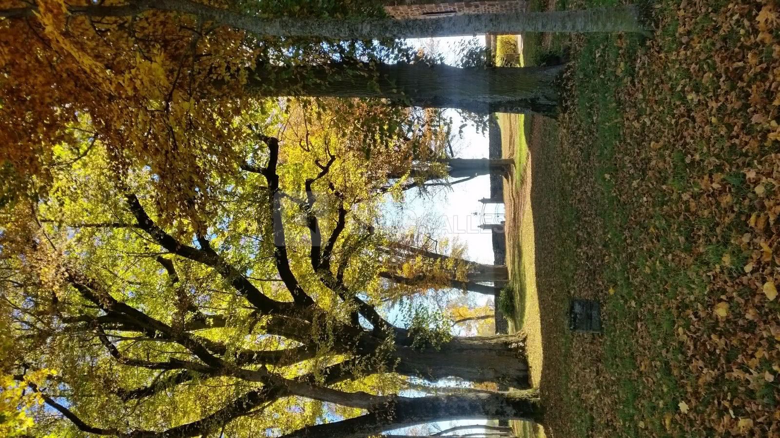 Vue du parc