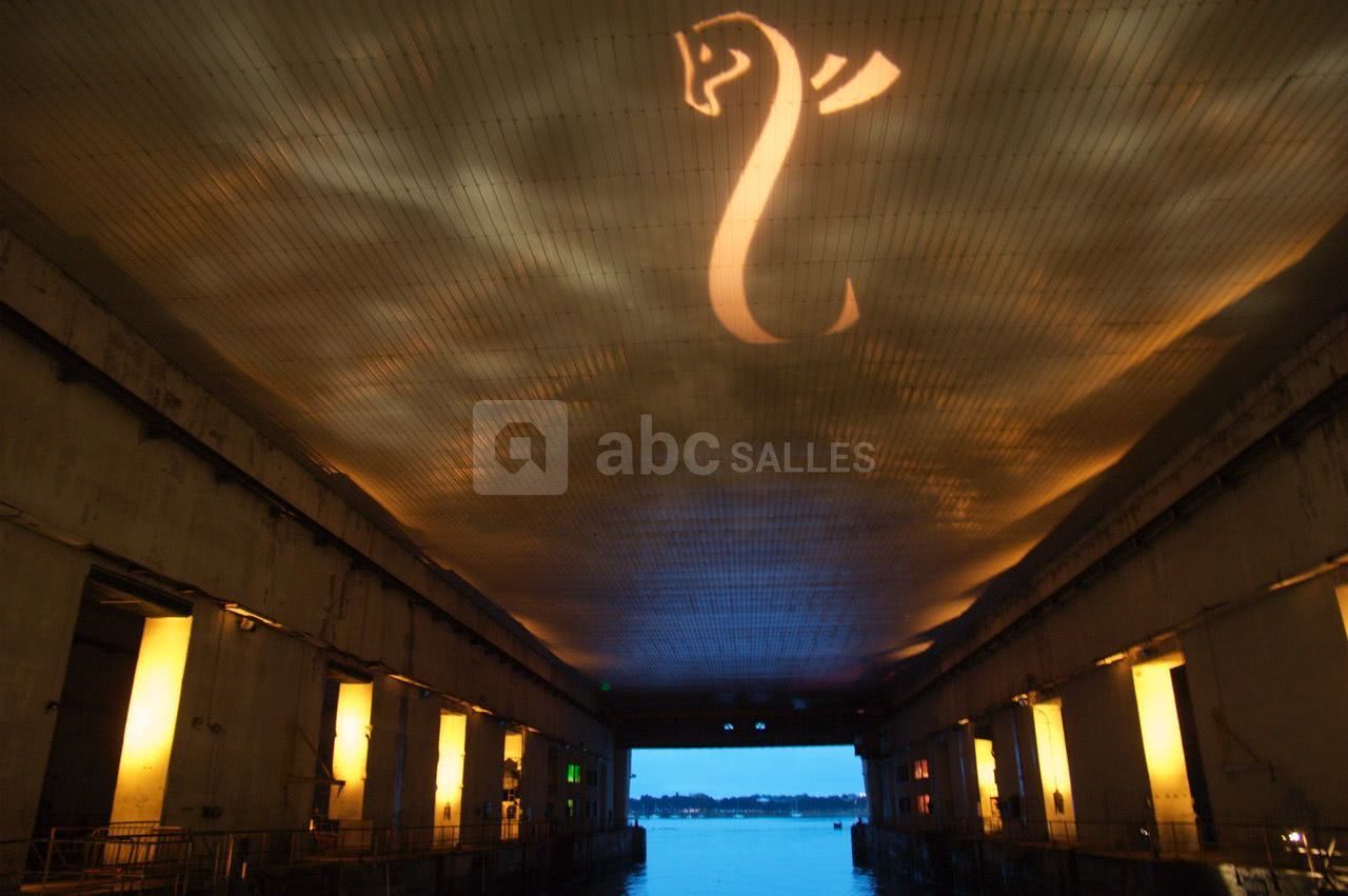 Projection de logo sur le plafond : La Base Pegasus