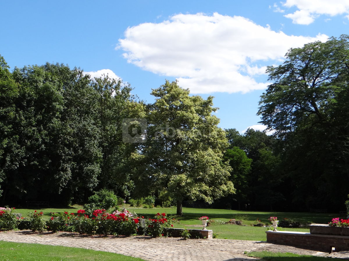 Vue sur le parc