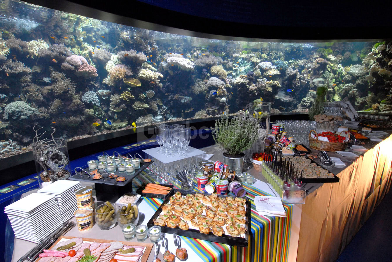 Océanopolis - Brest (29) - Cocktail dinatoire au milieu des aquariums