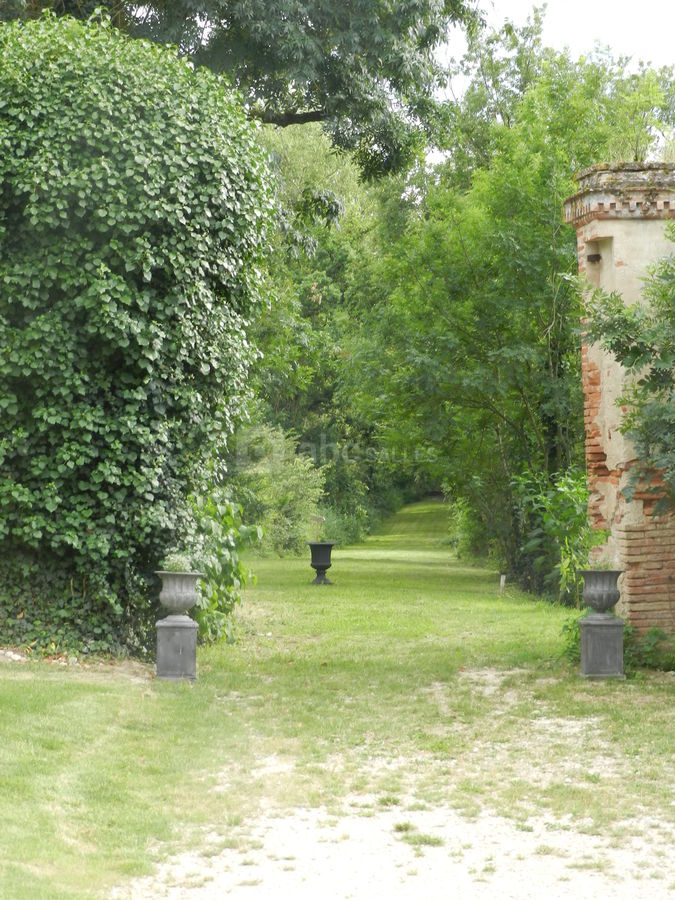 Le chemin des biches