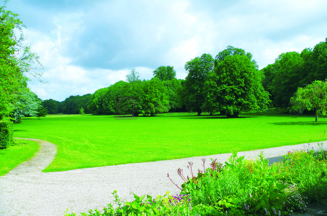 Vue du parc