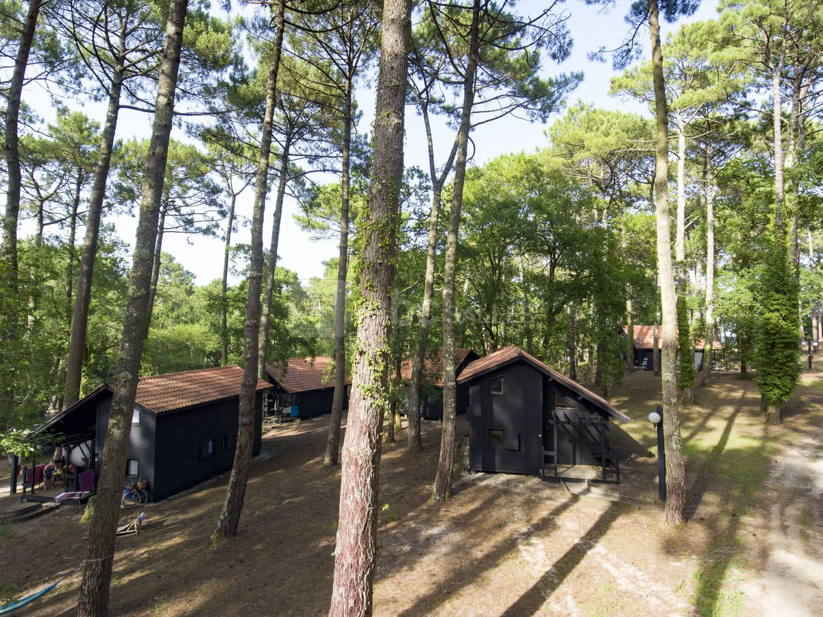 Petits hébergements en forêt