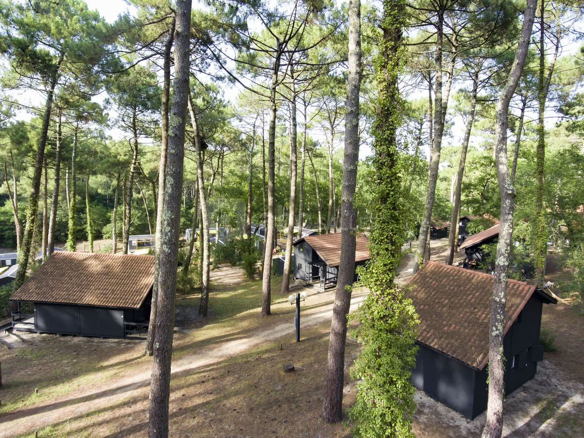 Petits hébergements en forêt