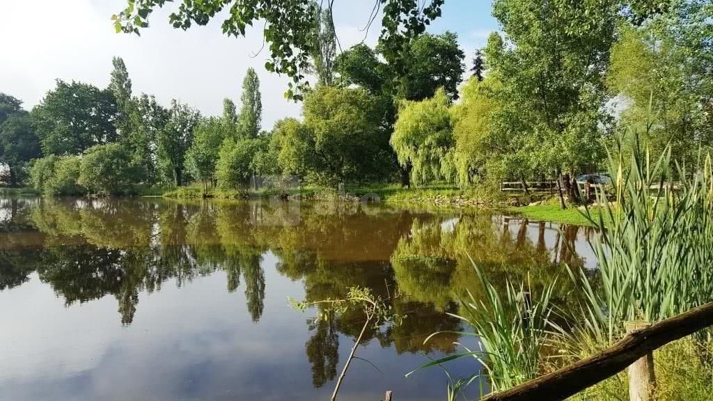 L'étang de pêche