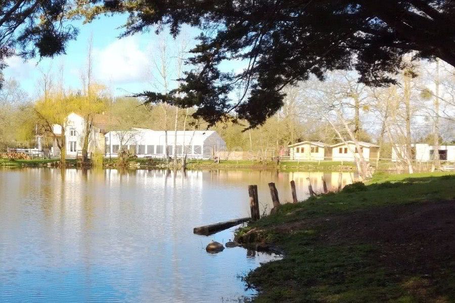 Le Domaine et l'étang