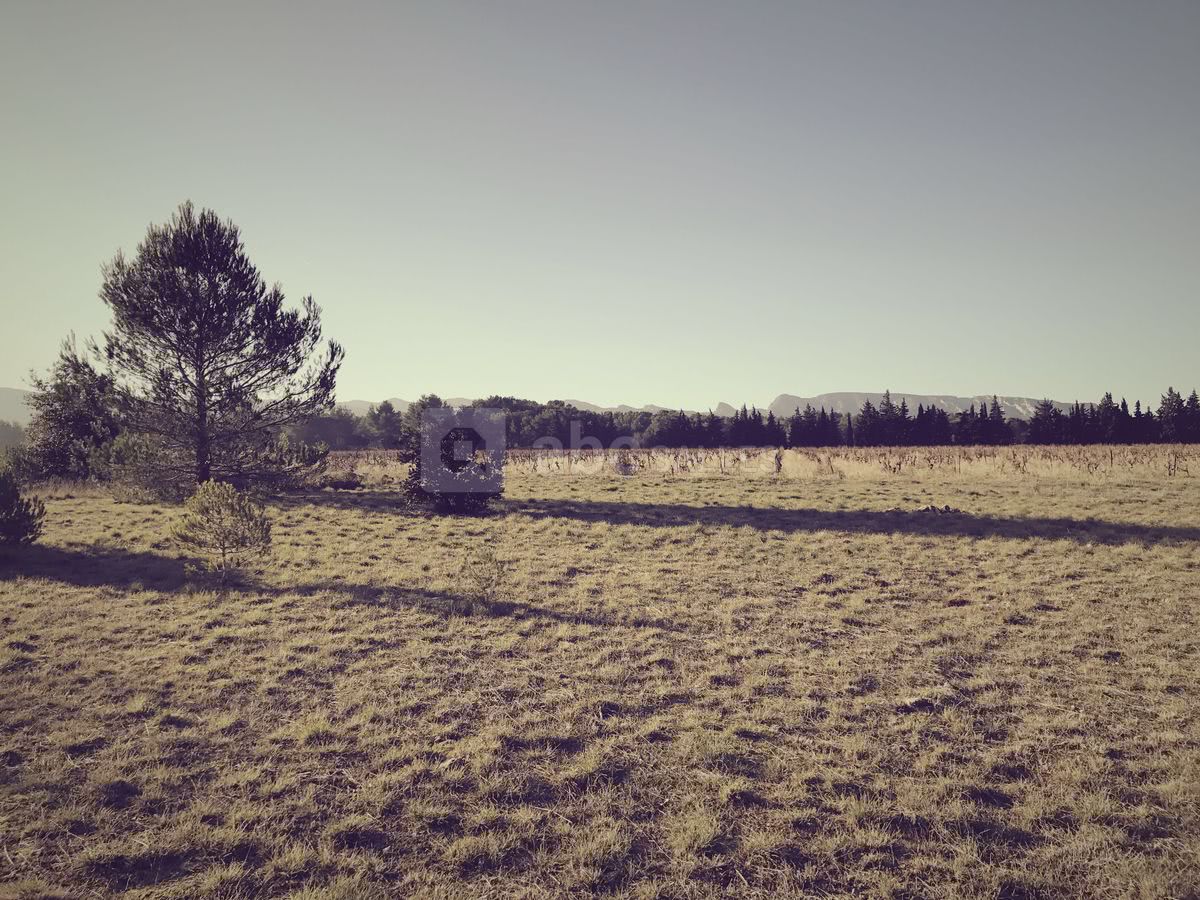 Vue sur les Alpilles