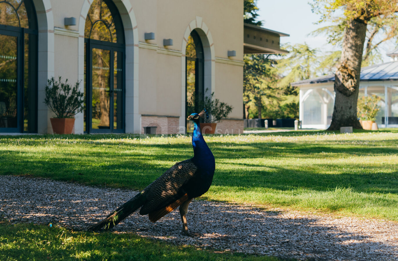 Parc et notre mascotte léon