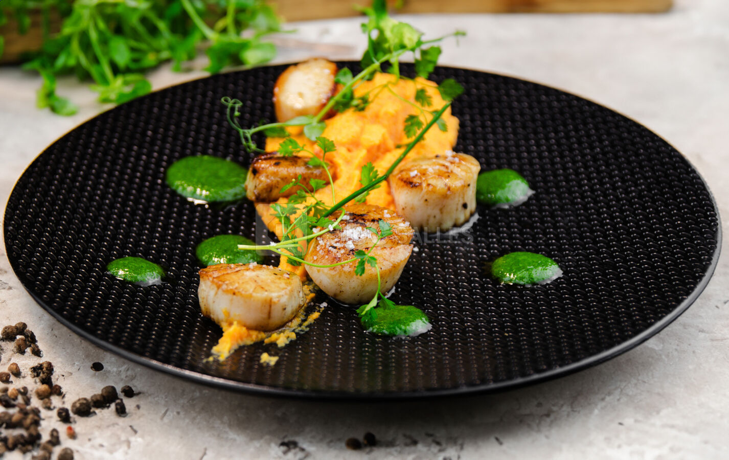 Plat Noix de Saint-Jacques