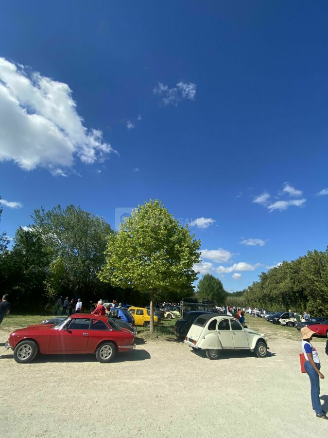 Rassemblement voitures anciennes dans le 13