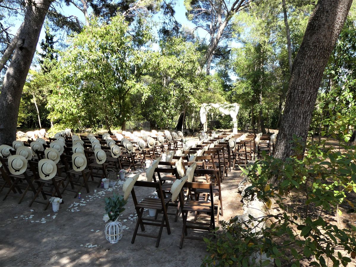 Cérémonie dans le parc des pins parasols