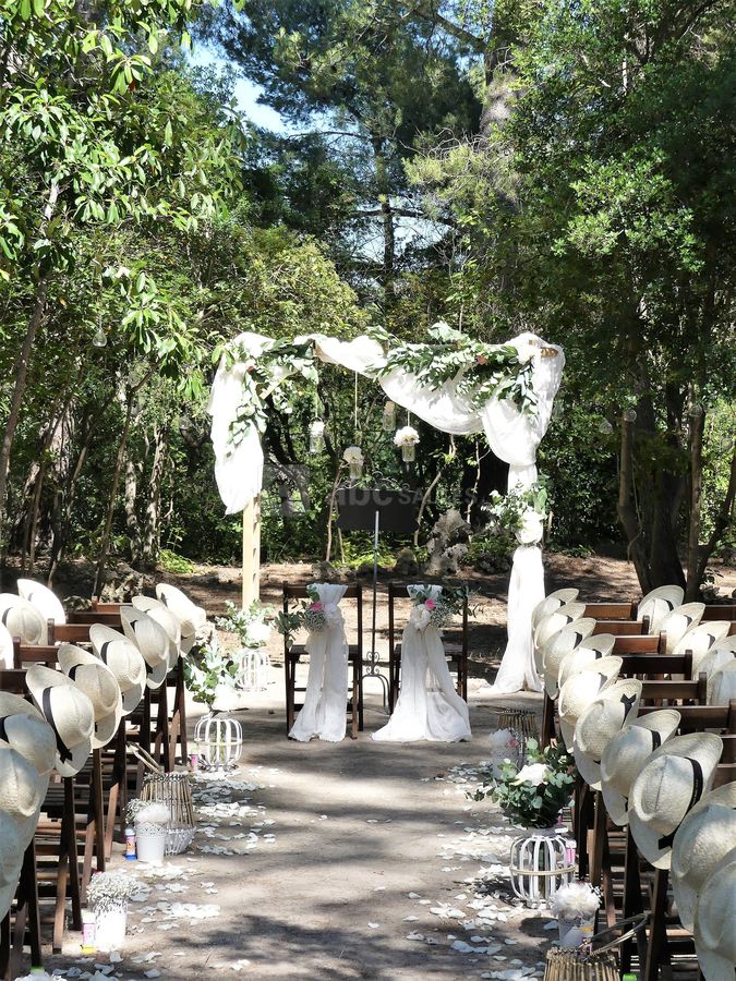 Cérémonie dans le parc des pins parasols