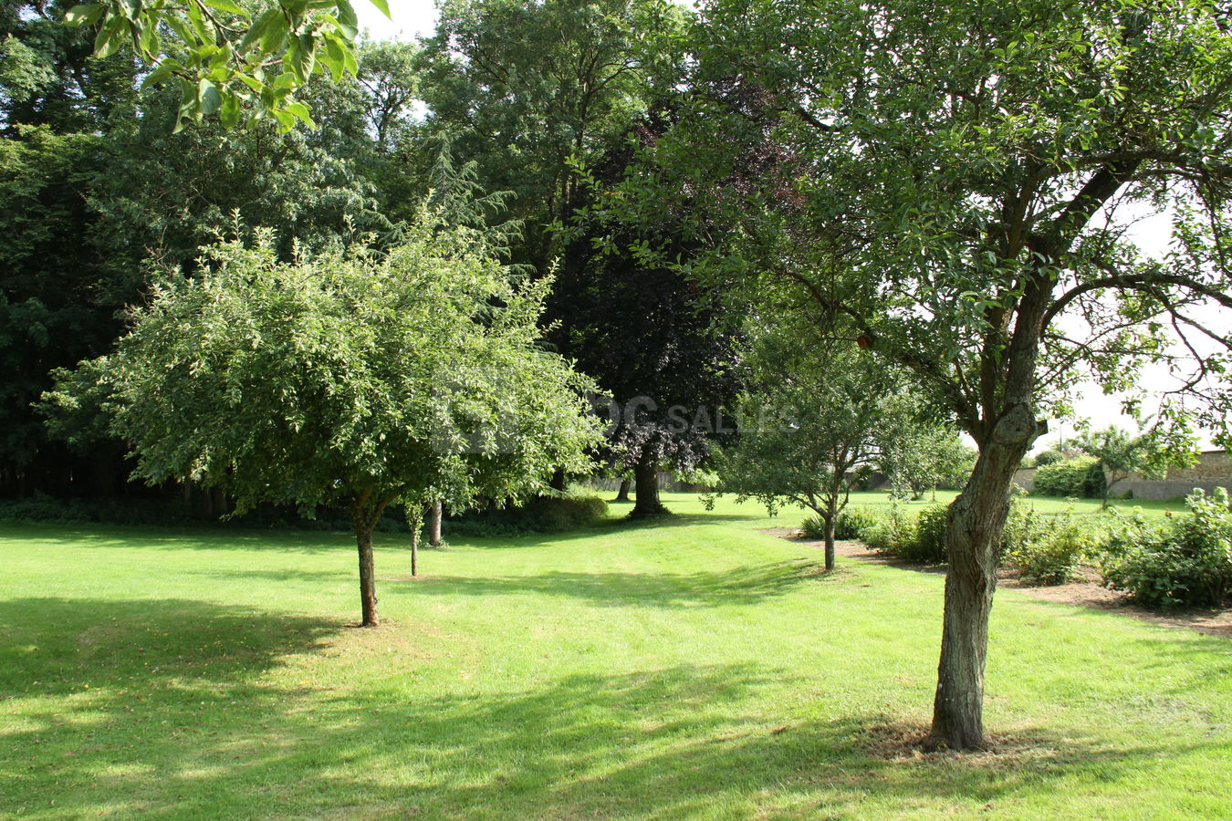 Jardin