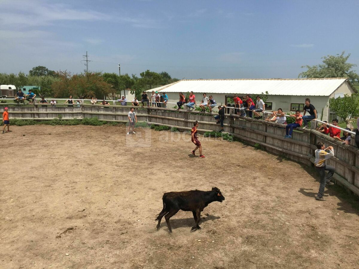 Manade Claude Chaballier