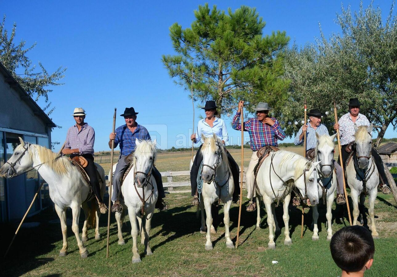 Haie d'honneur des gardians