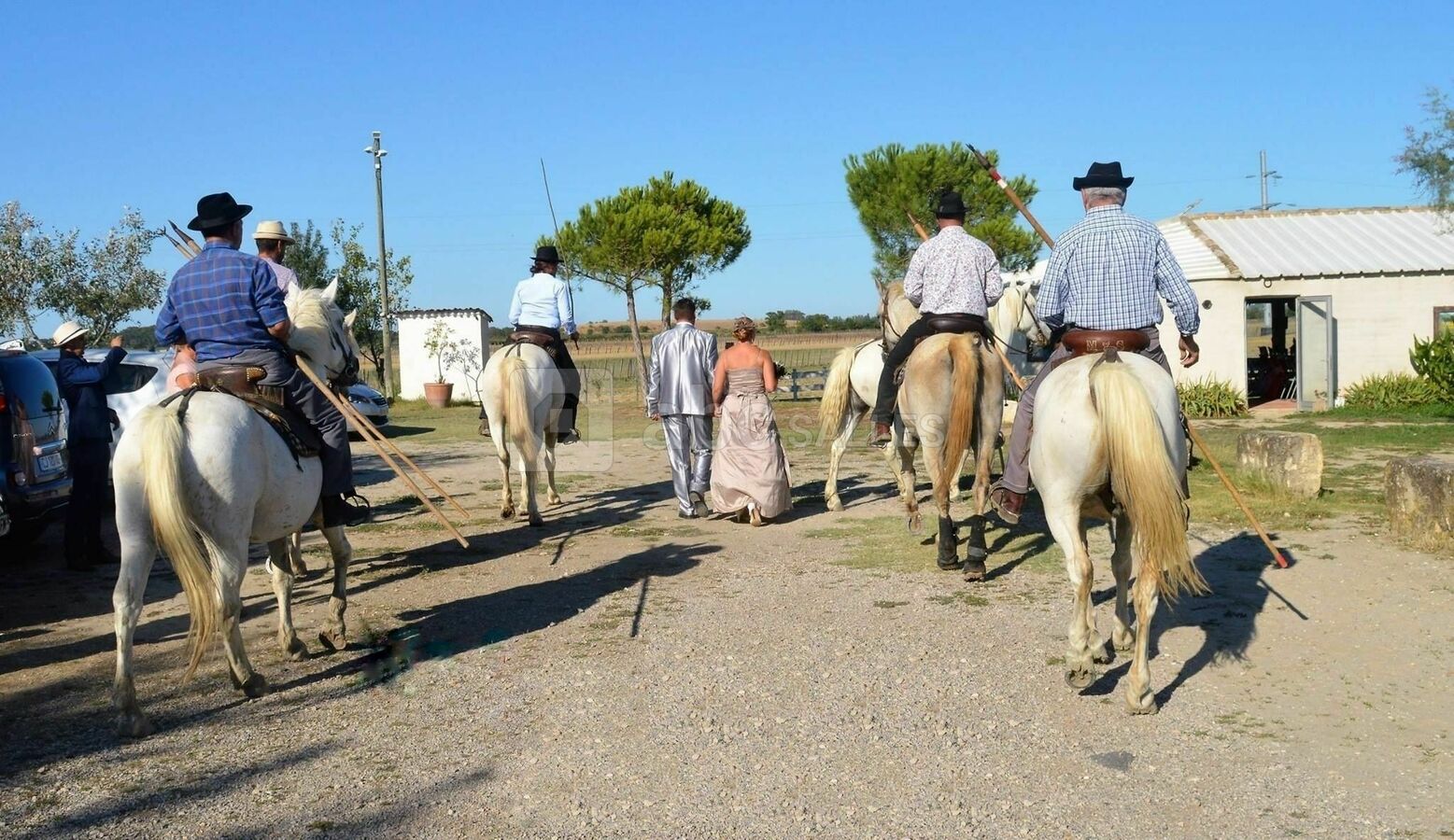 Haie d'honneur des gardians