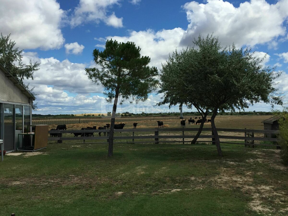 Espace réception extérieure