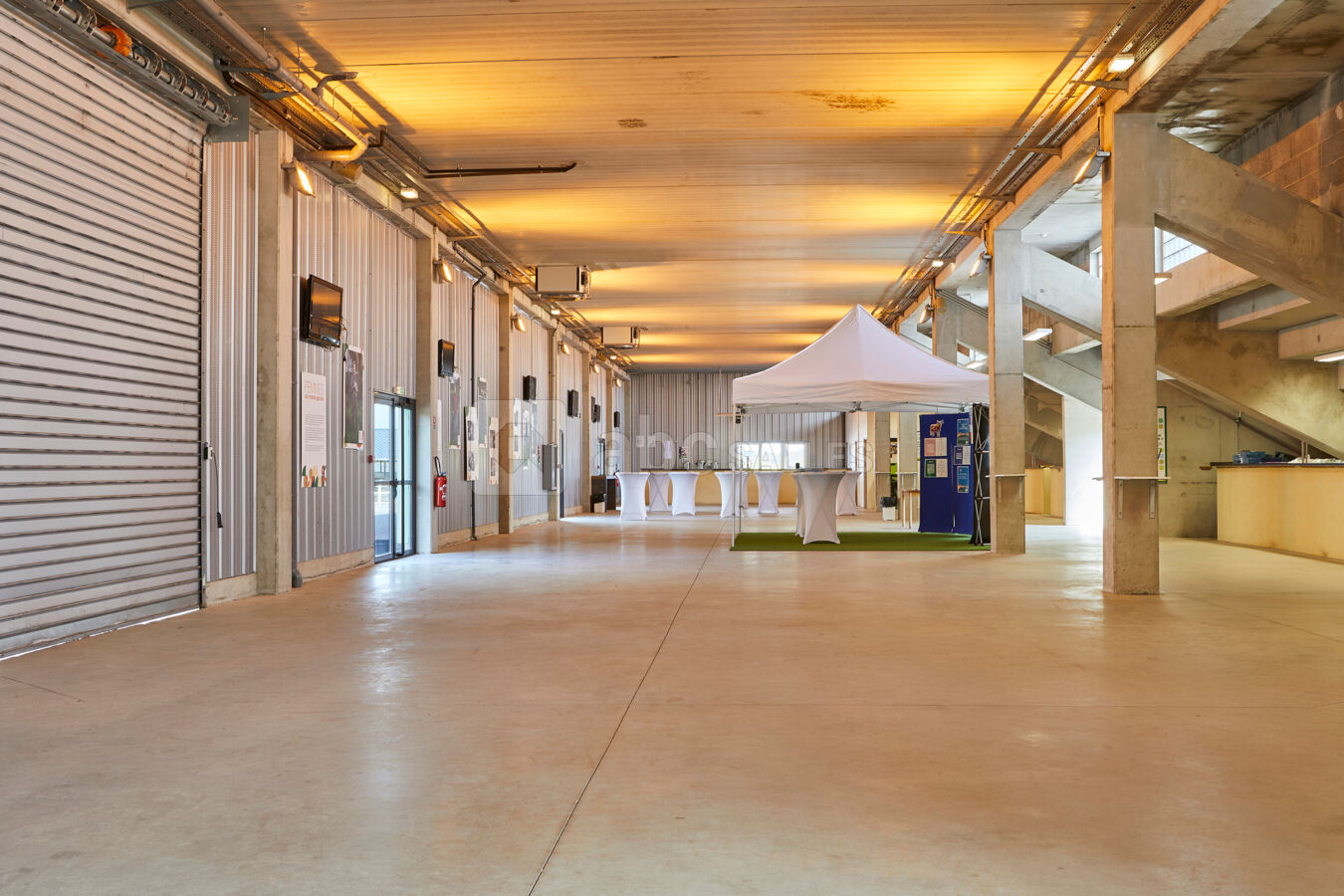 Hall Hippodrome Maure de Bretagne