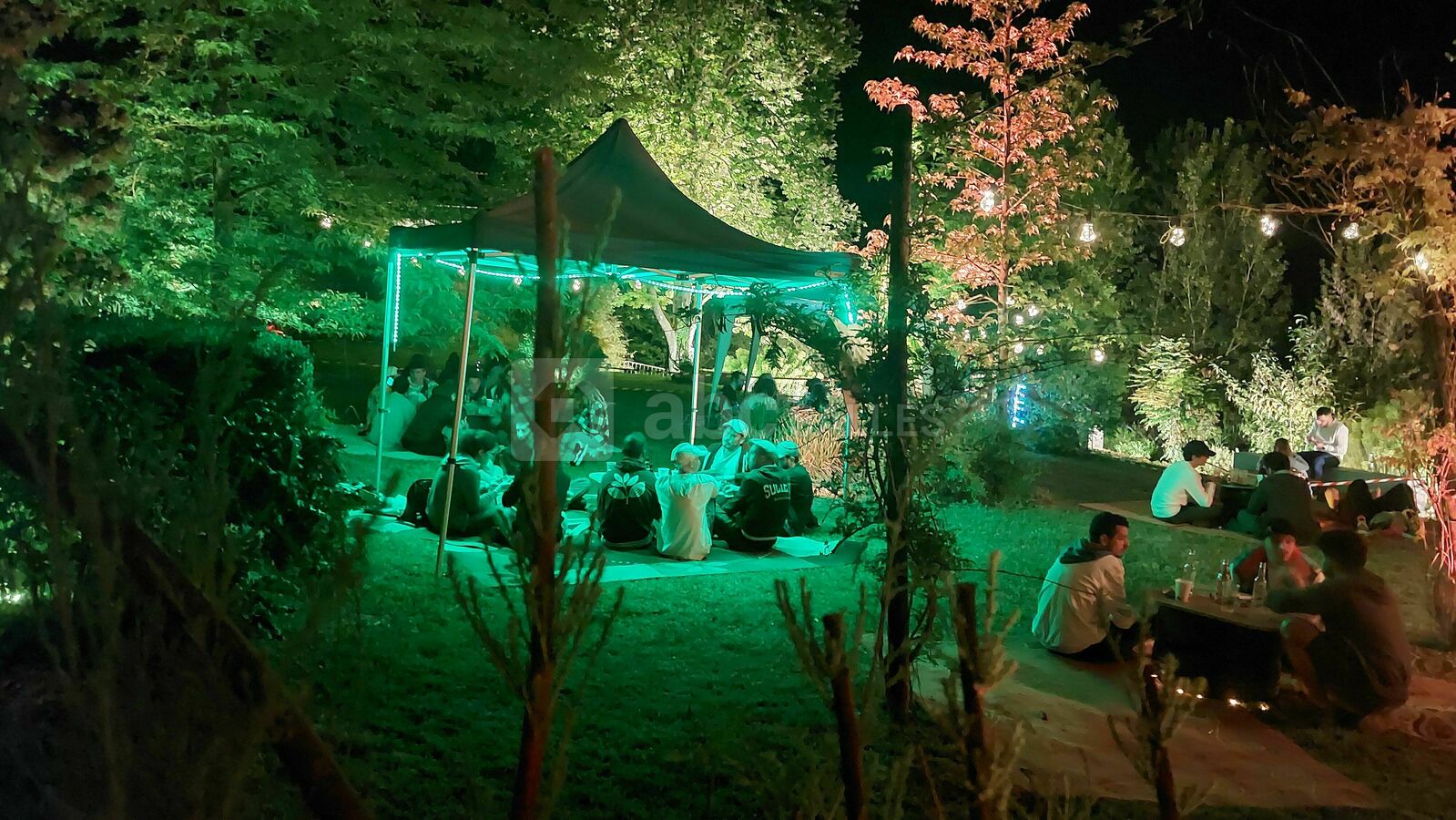 Jardin soirée