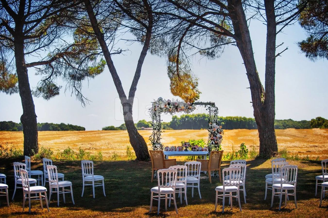 Sous les pins parasol